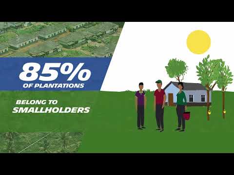 Natural Rubber: Did you know?