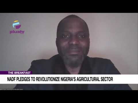Nick Agule on NADF pledges to revolutionize Nigeria's Agricultural Sector