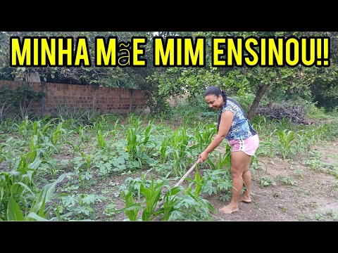 Minha mãe mim ensinou ‼️História real  de uma nordestina!!trabalho rural no sertão da #BAHIA 🌵 