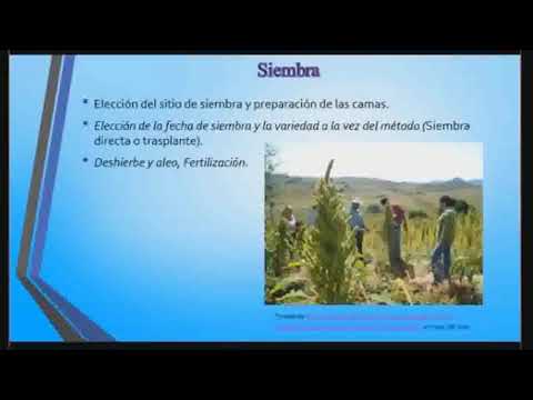 , title : 'Diseño de un invernadero para un cultivo de Amaranto en la altillanura del Caquetá'
