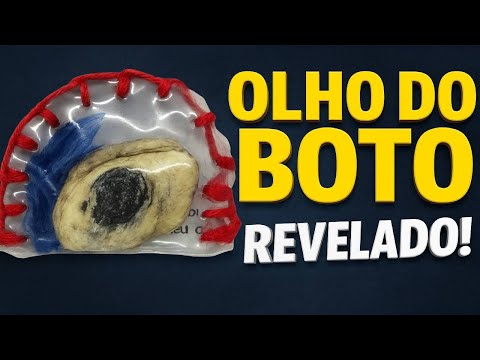 Eye of the Dolphin Revealed! The Truth Behind the Amazon Legend