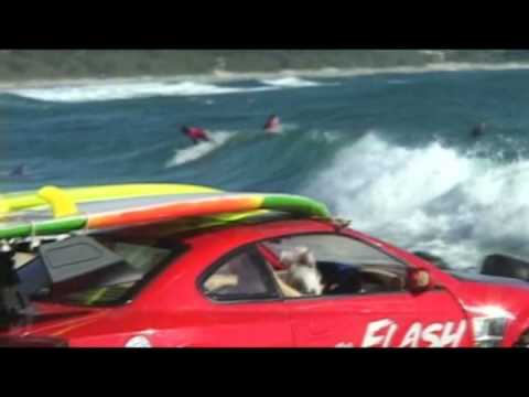 The Radical Rodents New Clip