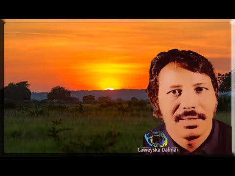 Maxamud C.Timajilic Ahun | Wadne Geesi | ERYD Maxamud Diirshe | LXN Mursal Macalin | T.Q.15-12-1984