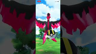 Galerian moltress encounter did I catch it!? #pokemon #pokemongo