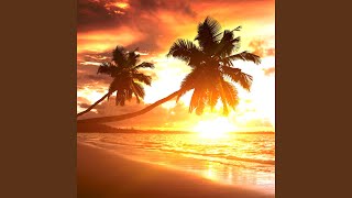 Download lagu Sunlight mp3 Download lagu Sunlight mp3