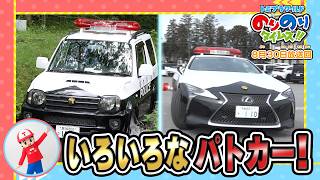 【いろいろなパトカー】しゅつどう！ピカピカサイレン捜査一課！&シンカリオン特別ダイヤ版毎週放送｜のりのりタイムズ!!｜トミカ｜プラレール #73