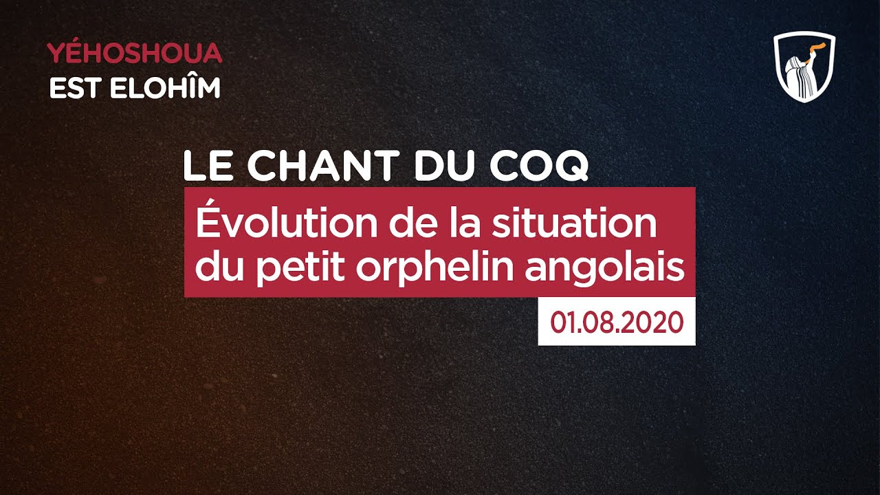 Thumbnail of video: Évolution de la situation du petit orphelin angolais