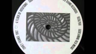Zoviet France - Mandrel