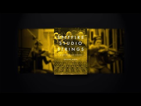Library Spotlight - Studio Strings