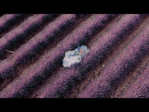 Provençal Lavender Reverie: um editorial em um campo de lavanda no sul da França
