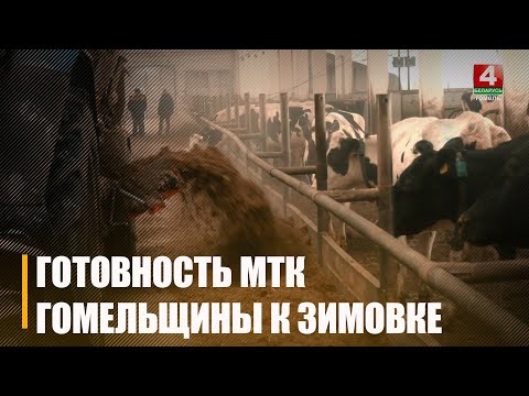 Животноводческие объекты Гомельщины готовы к большим морозам