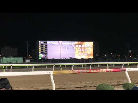 #2도쿄 경마장 가는 길 TOKYO CITY KEIBAで遊ぼう 도쿄시티 케이바(경마)에서 놀자 日本日常旅行 東京自由旅行 일본 일상여행 도쿄 자유여행