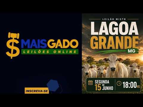 🐂🐄🐃 LEILÃO MISTO DE BOVINOS - LAGOA GRANDE/MG - MAIS GADO LEILÕES 🐂🐄🐃