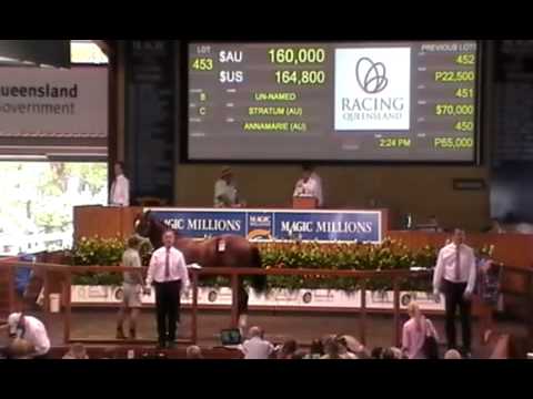 2012 Gold Coast Yearling Sale Lots 441 - 460