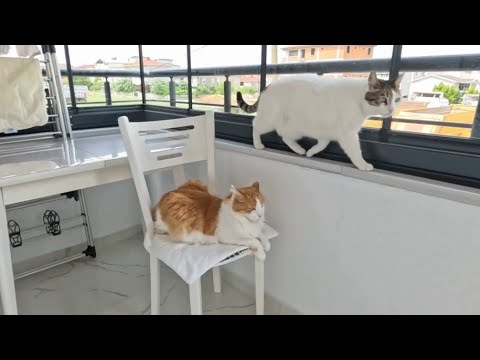 MAKBULE’NİN REHBERLİĞİNDE PAZAR GEZİSİ: KEYİFHANE’DEN MİNNOŞ SOKAK’A