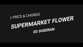 Supermarket Flower   Ed Sheeran (Lyrics &amp; Chords)