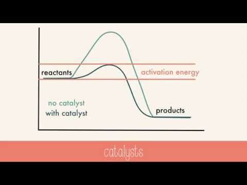 Factors Affecting Reaction Rates