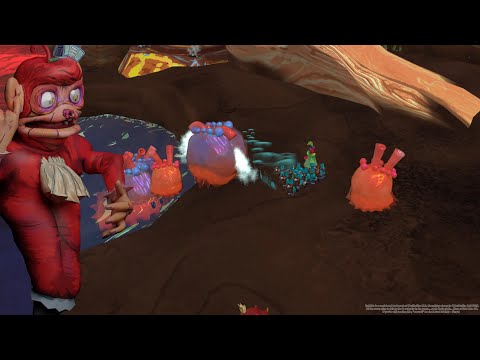 Dukkido youtube-video