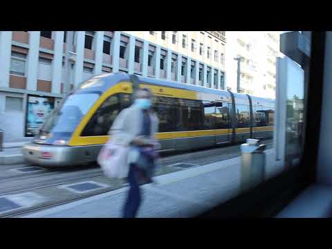 3406 STCP - MAN 18.310 HOCL (A69) caetanobus CityGold CBN070g - Linha / Line 905