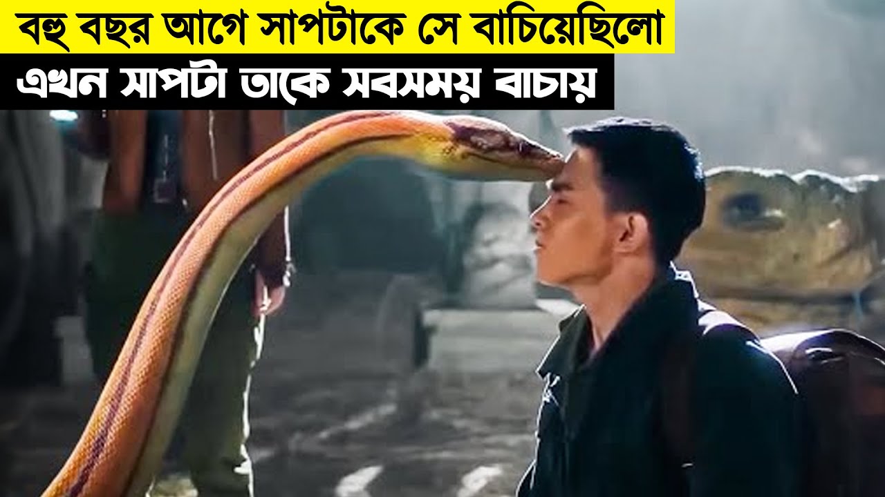 ১২ বছর পর মালিকের সাথে দেখা ! সাপ আর মানুষের গল্প ! Friendship of Humans & Snakes Movie Explain