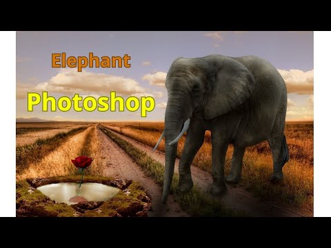 Photo Manipulation – Elephant / Unlocking Creativity 🌟📸 Photoshop.