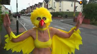 Surfin' Bird Music Video