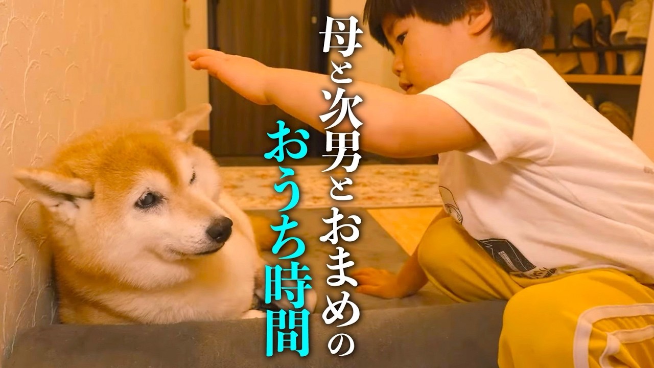 母と次男とおまめのおうち時間