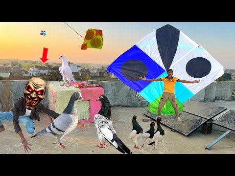 Pakistani Kite Vs Kabooter Room Ko Color Kr Diya | Guda