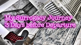 My Surrogacy Journey - 3 days before Departure