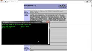 phpinfo LFI shell