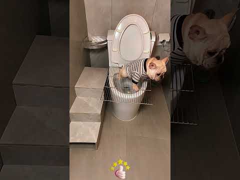 Working People and The Omaha Notes