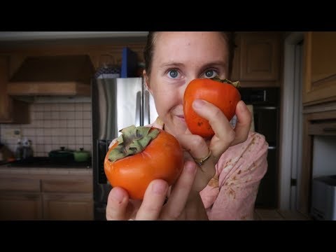 download lagu mp3 mp4 Hachiya Persimmon Dry Mouth, download lagu Hachiya Persimmon Dry Mouth gratis, unduh video klip Hachiya Persimmon Dry Mouth