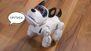 Silverlit Робот-щенок Pupbo (88520/88520P) - відео 3