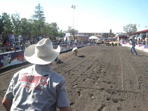 Jace Brody Mutton Busting