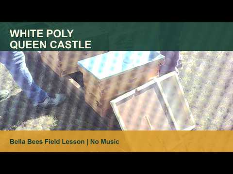 Bella Bees white poly queen castle educational YouTube thumbnail
