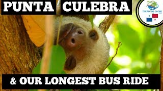 Visiting Punta Culebra Panama City & Bus ride from Panama City to San Jose  [S3-E16]