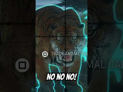 NO NO NO!!! Diamond Tiger is MAD!!! TheHunter:Call of the Wild