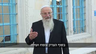 למרות התנהלות בג"ץ- אמת מארץ תצמח | הרב שמואל אליהו | הלכה יומית | ו׳ תמוז תשפ״ה (הרב שמואל אליהו) - התמונה מוצגת ישירות מתוך אתר האינטרנט יוטיוב. זכויות היוצרים בתמונה שייכות ליוצרה. קישור קרדיט למקור התוכן נמצא בתוך דף הסרטון