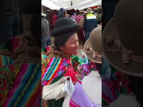 lojo lojo 2parte en huayllamarca prov nor carangas Oruro festividad de todo santos lojo MITMA MARKA