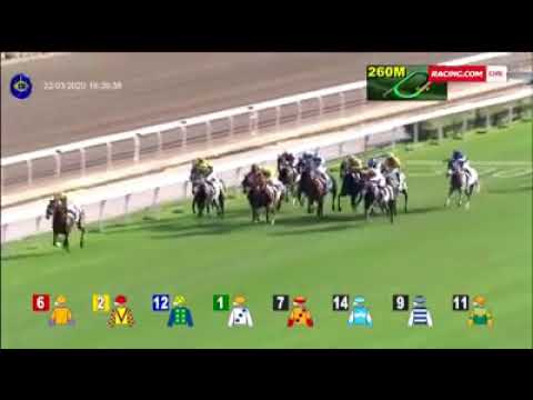 The glory is all yours Golden Sixty ! Winner Hong Kong Derby