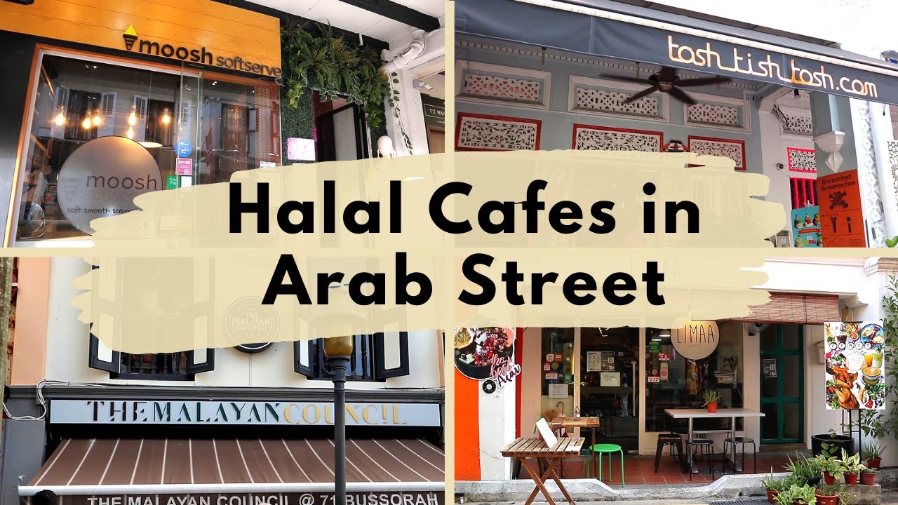 Halal Trip - Search Other