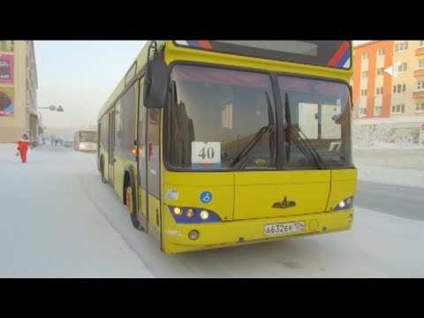 10.02.21. «Новости Северного города».Транспортная реформа.Не первый снег комом.Экология с экономией.