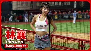 夏の終わり🎐☀️よこから林襄（りんしゃん）💘 Dragon Beauties 小龍女 味全龍啦啦隊  天母棒球場 2024/8/31 【台湾チアTV】