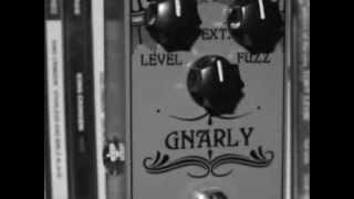 Basic Audio Gnarly Fuzz Pedal - What To Know & Where To Buy
