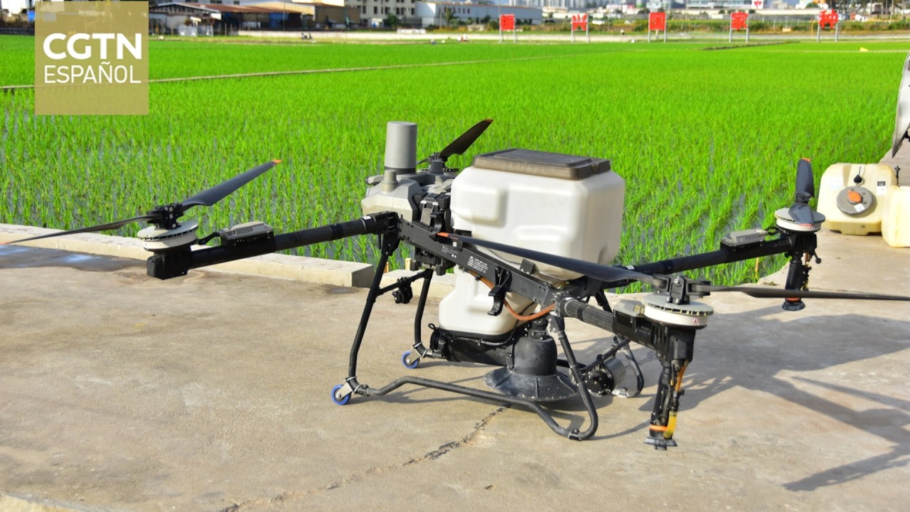 Los "nuevos agricultores" de China trabajan menos y ganan más