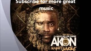 05 - Akon Samn Damn Time Remix feat Future.wmv