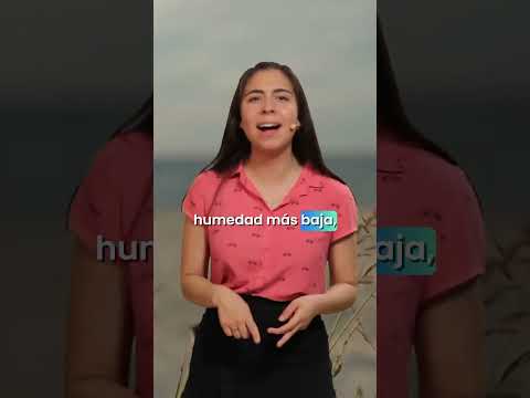 13 de diciembre de 2025