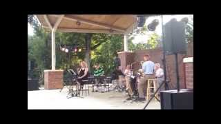 Am I Blue - Susan Buslett