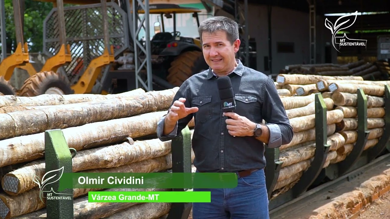 Eucalipto tratado: madeira renovável, ecológica e versátil | MT Sustentável ep. 22 | Canal Rural