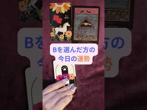 マダム・シャノワールが運勢をみます イメージ1
